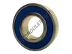 6004-2RS-INOX-NSFH1