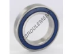 6014-2RS-INOX