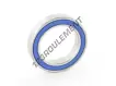 61805-2RS-MAX-BLACKBEARING