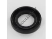 ASP-20X35X6-NBR