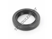 OAS-25.80X38X6.35-NBR