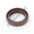 OAS-25X36X7-FPM