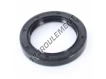OAS-52X73X10-NBR