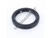 OAS-55.56X73.02X9.52-NBR