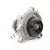 VKPC81301-SKF